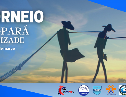 São Luís/MA recebe esse fim de semana o VII Torneio Grão-Pará de Natação Master.